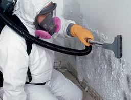 Best Crawl Space Mold Remediation  in Woodland Park, CO